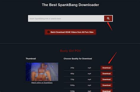 Spankbang Downloader